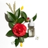 [haruharu wonder] *Миниатюра* Масло для лица с чёрным рисом Black Rice Facial Oil (miniature]) 10мл