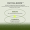 [Heimish] Нежная кремовая пенка для ухода за проблемной кожей Matcha Biome Amino Acne Cleansing Foam 150мл