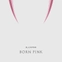 [K-POP] BLACKPINK 2nd ALBUM - BORN PINK (KiT ALBUM)