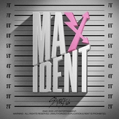 [K-POP] Stray Kids - MAXIDENT (T-CRUSH ver./HEART ver.) Standard Version (Random Ver.)