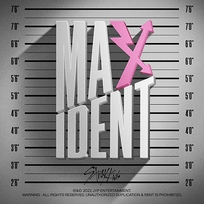 [K-POP] Stray Kids - MAXIDENT (T-CRUSH ver./HEART ver.) Standard Version (Random Ver.)