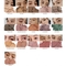[hince] Тени New Depth Eyeshadow (10 оттенков на выбор)