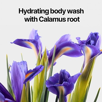 [Pyunkang Yul] Гель для душа Body Wash Dancheong 350мл