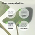 [Abib] Гидрогелевая маска с Гуттуинией Collagen Gel Mask Heartleaf Jelly (4шт)
