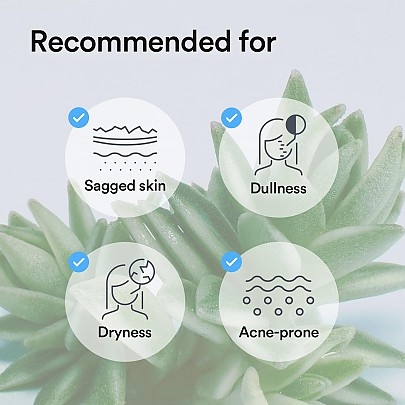 [Abib] Гидрогелевая маска Collagen Gel Mask Sedum Jelly (4шт)