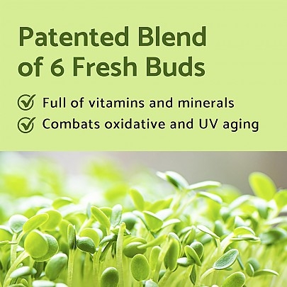 [iUNIK] Набор миниатюр Centella Mini Set