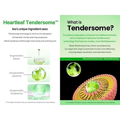 [ILSO] Ампула с успокаивающим действием Heartleaf Tendersome Double Calming Ampoule 30мл