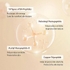[SUNGBOON EDITOR] Лифтинг-ампула с пептидами шёлка Silk Peptide Intensive Lifting Ampoule 35мл