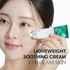 [VT Cosmetics] Крем для лица Cica Cream Plus 100мл
