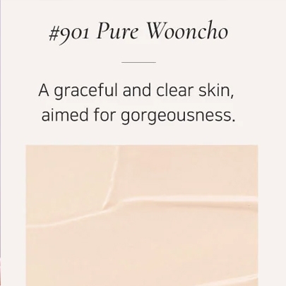 [Dinto] Рефил кушона Blur-Finish Wooncho Cushion #901 Pure Wooncho