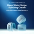 [arencia] Крем для лица Deep Water Surge Soothing Cream 80мл