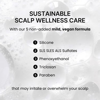 [nesh] Шампунь с соевыми бобами Soy Biome Scalp Balancing Shampoo 480мл