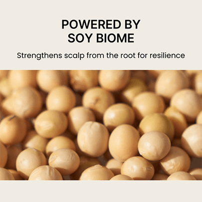 [nesh] Шампунь с соевыми бобами Soy Biome Scalp Balancing Shampoo 480мл