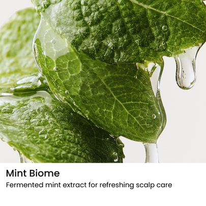 [nesh] Очищающий скраб для кожи головы Mint Biome Scalp Purifying Scrub 180мл
