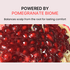 [nesh] Шампунь для укрепления кожи головы Pomegranate Biome Scalp Boosting Shampoo 480мл