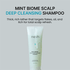 [nesh] Шампунь глубокой очистки с ментолом Mint Biome Scalp Deep Cleansing Shampoo 250мл
