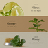 [anillo] Освежающая эссенция для волос Lime Sunday Refresh Hair Essence 50мл