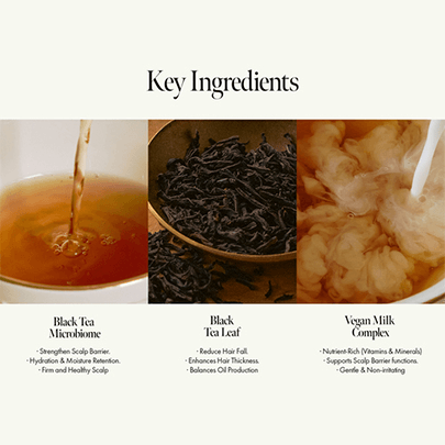 [anillo] Бальзам для кожи головы с чёрным чаем Black Tea Nourishing Scalp Treatment 150мл