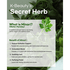 [ClearDea.] Успокаивающий крем с кулинг эффектом Minari Deep Cool Soothing Cream 30мл