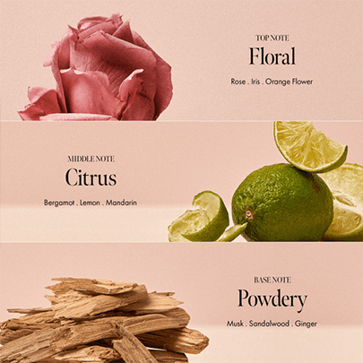 [anillo] Восстанавливающая эссенция для волос Rosy Night Repair Hair Essence 50мл