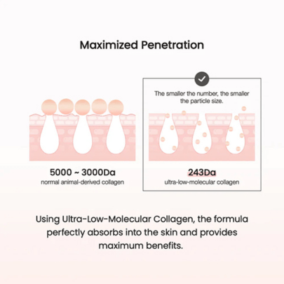 [Biodance] Крем с пептидами и коллагеном Pore Perfecting Collagen Peptide Cream 50мл