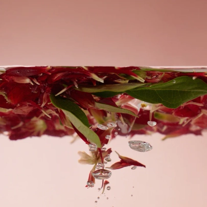 [ROUND LAB] Пенка для умывания с камелиейCamellia Deep Collagen Jelly Mask Cleanser 150мл