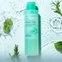 [Skinfood] Охлаждающий тонер Basil Teatreecinic Cooling Toner 200мл