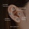 [RETURNITY] Патчи для ушей Ear Therapy Acupressure Patch (3-Mix)