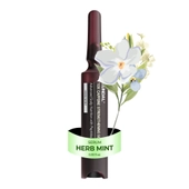 [KUNDAL] Сыворотка для кожи головы с кофеином 10X 10мл