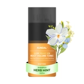 [KUNDAL] Тоник для объема корней с пивными дрожжами 100мл #Herb Mint