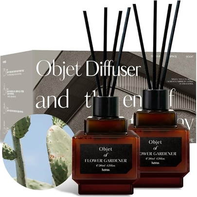 [hetras] Диффузор Objet Diffuser - Cactus 200мл*2