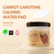[Skinfood] Набор пэдов Carrot Carotene Calming Water Pad Special Plus Set (60P+30P)