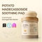 [Skinfood] Успокаивающие пэды Potato Madecassoside Soothing Pad (60шт)