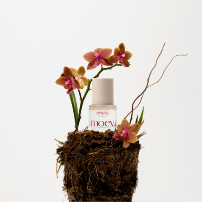 [moev] Парфюм для волос Annurcatin 30мл