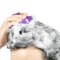 [KUNDAL] Щётка для мытья головы Shampoo Brush