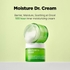 [ISOI] Увлажняющий крем Moisture Dr. Cream (70 мл)