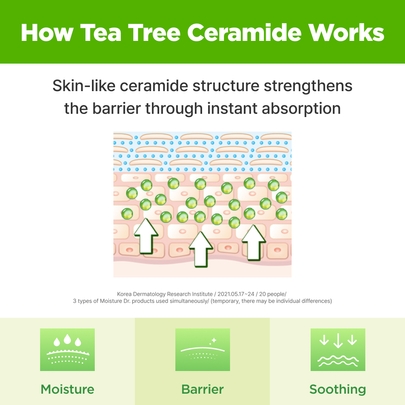 [ISOI] Увлажняющий крем Moisture Dr. Cream (70 мл)