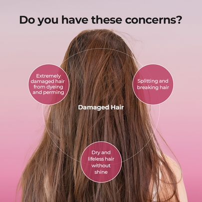 [JULYME] Парфюмированный восстанавливающий уход Damage Care Perfume Treatment 500 мл #Full Bloom