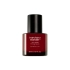 [haruharu wonder] Укрепляющая сыворотка Rose PDRN Firming Serum 30 мл (с ретиналем 0,1%)