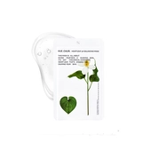 [HUECALM] Балансирующая тканевая маска с хауттюйнией (Heartleaf) Heartleaf pH Balancing Mask (1 шт.)