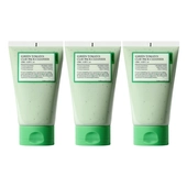 [FULLY] Green Tomato Clay Pack Cleanser 120 мл (3 шт.)