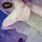 [MUMCHIT] (2 шт.) Диффузор Biotox Doson, 200 мл