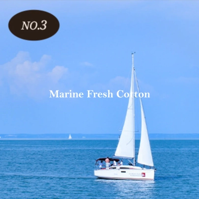[MUMCHIT] (2 шт.) Диффузор Biotox Marin Fresh Cotton, 200 мл
