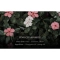 [MUMCHIT] STAY PERFUME Диффузор Good Night Pink Chamomile, 200 мл