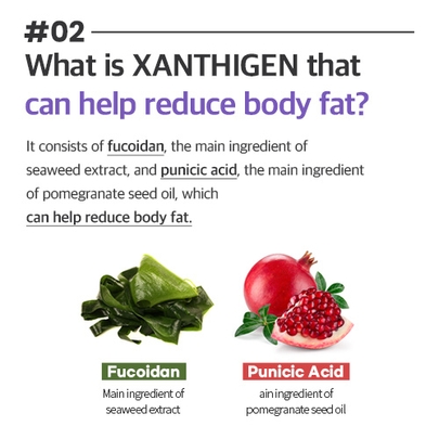 [skinny lab] Набор Easy Slimming Xanthigen (28 саше / курс 4 недели)