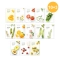 [Nature Republic] Набор тканевых масок Real Nature (13 шт.)