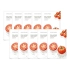 [Nature Republic] Тканевые маски Real Nature Томат (10 шт.)