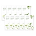 [Nature Republic] Тканевые маски Real Nature Green Tea (10 шт.)