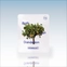 [BATHPROJECT] Bath Tea Salt Соль для ванны #Dandelion (1 шт.)