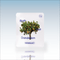 [BATHPROJECT] Bath Tea Salt Соль для ванны #Dandelion (1 шт.)